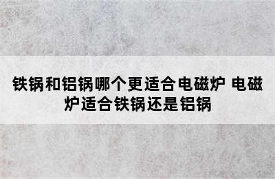 铁锅和铝锅哪个更适合电磁炉 电磁炉适合铁锅还是铝锅